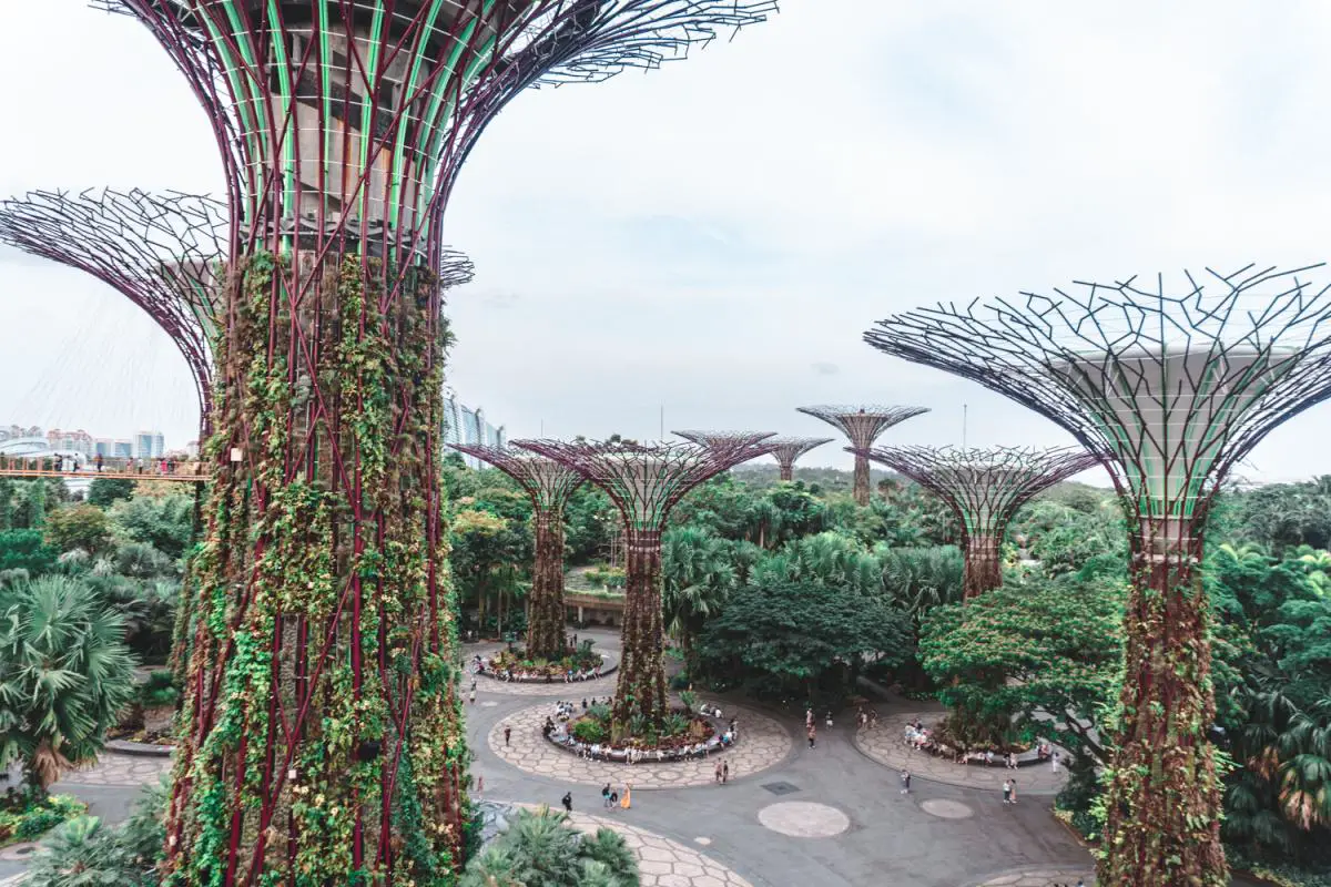 Supertree Grove Singapore gardens by the Bay