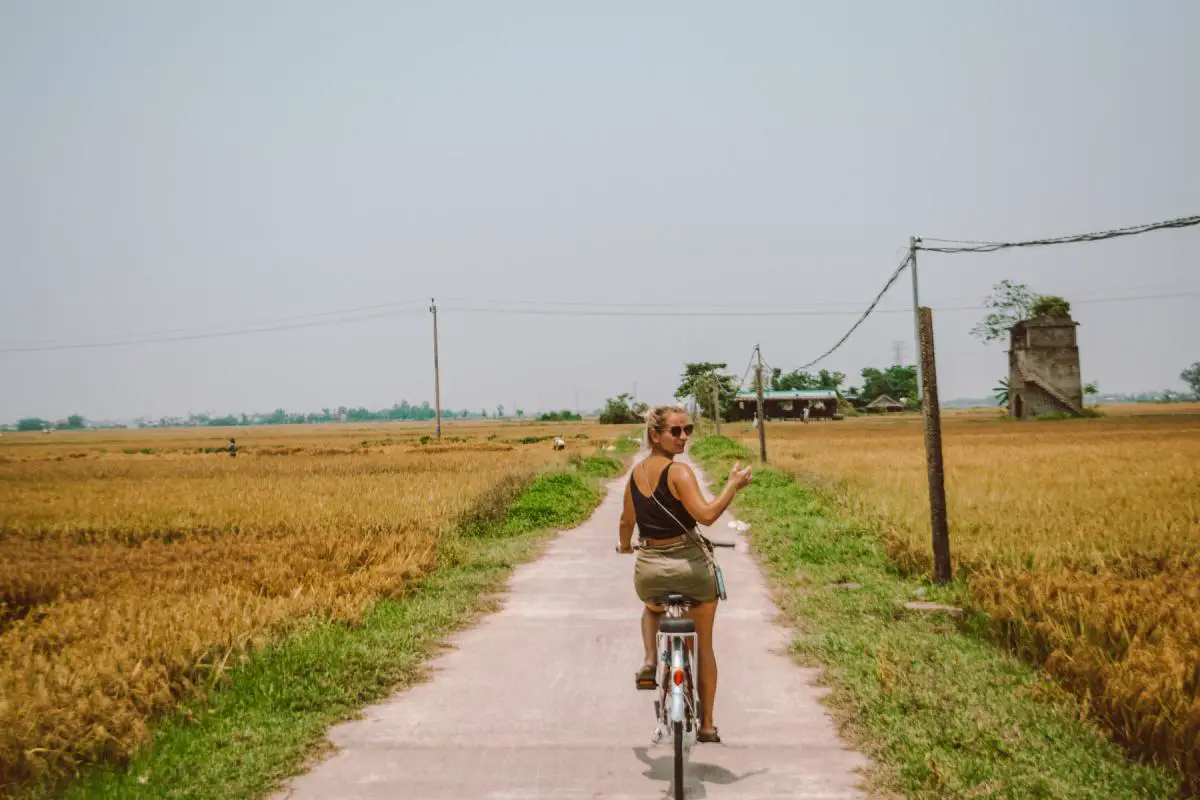 hoi an biking rice fields