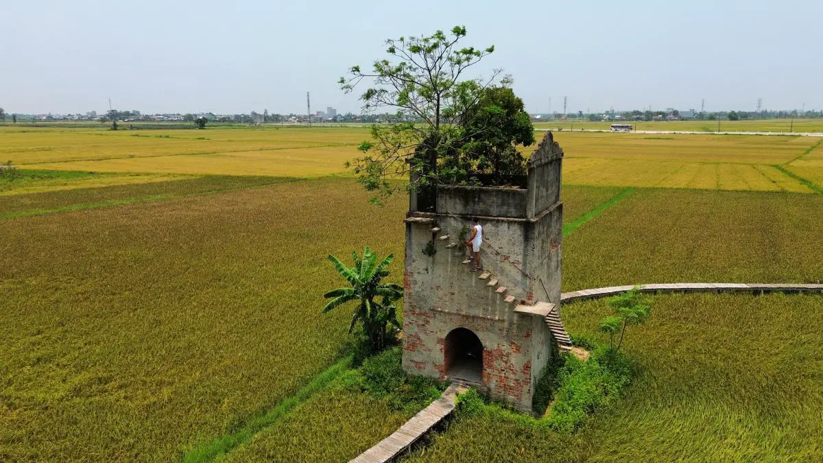 hoi an bike tour rice field vietnam fortress