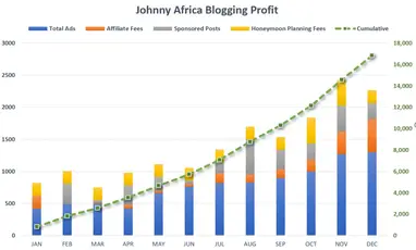 How Much Money Did I Make Blogging In 2021? - Johnny Africa