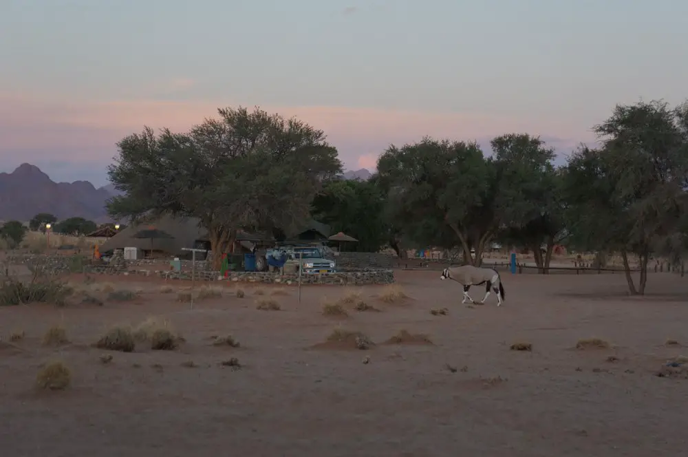 oryx campsite namibia sossusvlei namib sunset