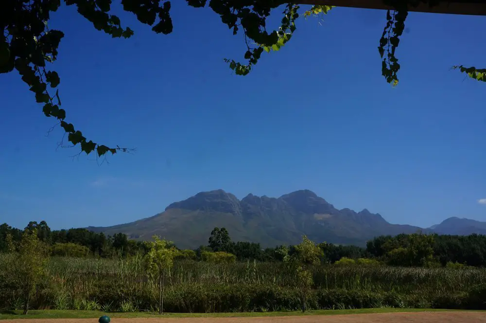 View of the Mountains from Morgenster wine farm in Somerset.