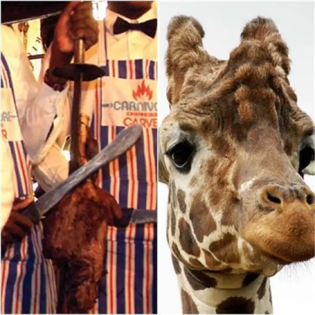 giraffe21 Eating My Way Through Africa’s Game