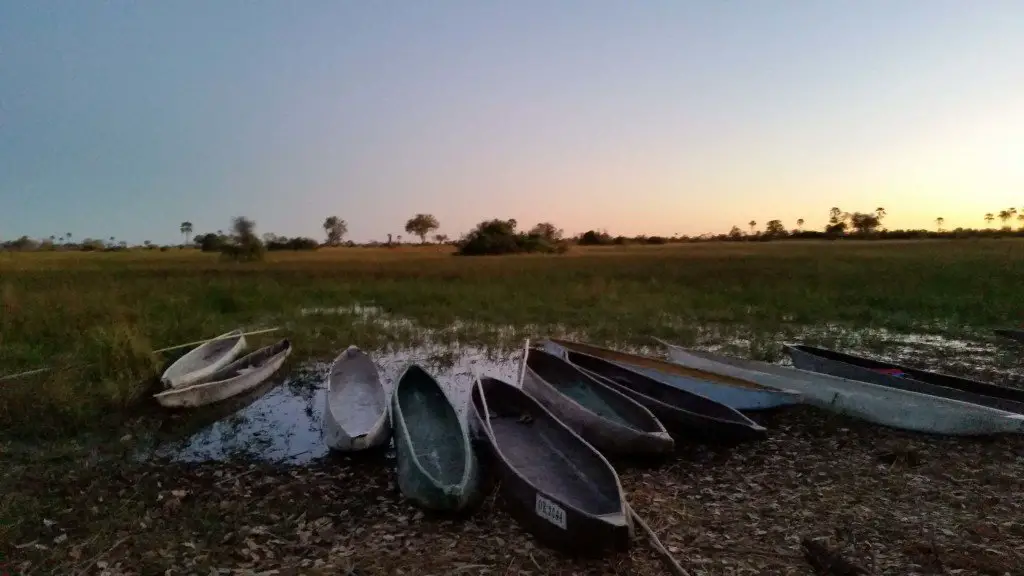 okavango campsite delta botswana mokoro canoes