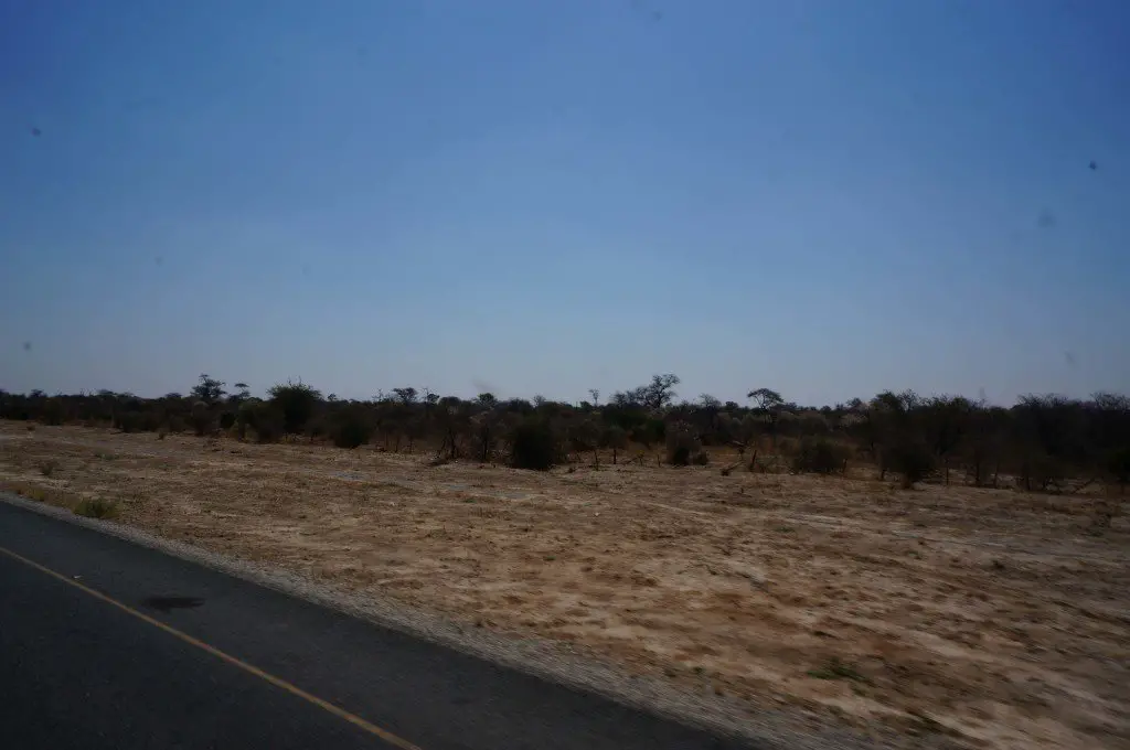 The scenery from the road driving from Maun to Kasane. Not much to look at.