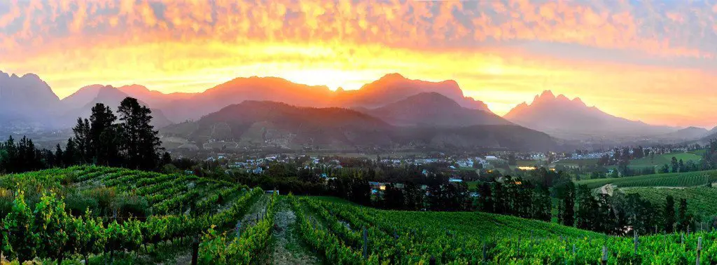 Sunset from a wine farm in Franschhoek. Wine lovers rejoice, this is the holy grail of wine regions. Well, I'm not going to compare wines, but I implore you to find a most beautiful wine region than the Cape.