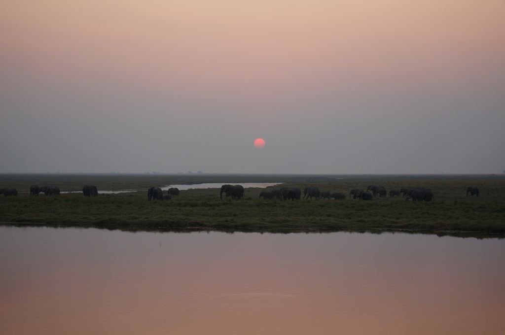 sunset chobe national park
