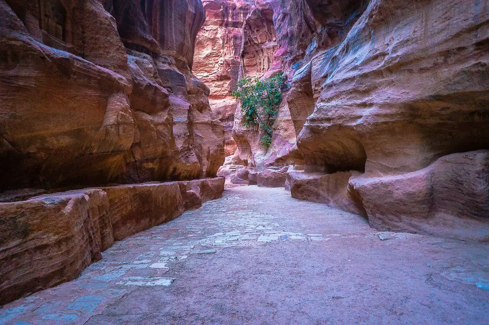 Walking through the Siq, the scenery is this for a good half hour. It's easy to get distracted by the beautiful geological formations here.