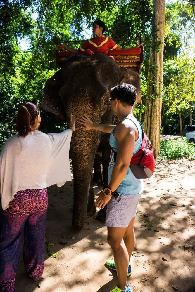 angkor elephants