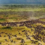 Best African National Parks to Visit in July