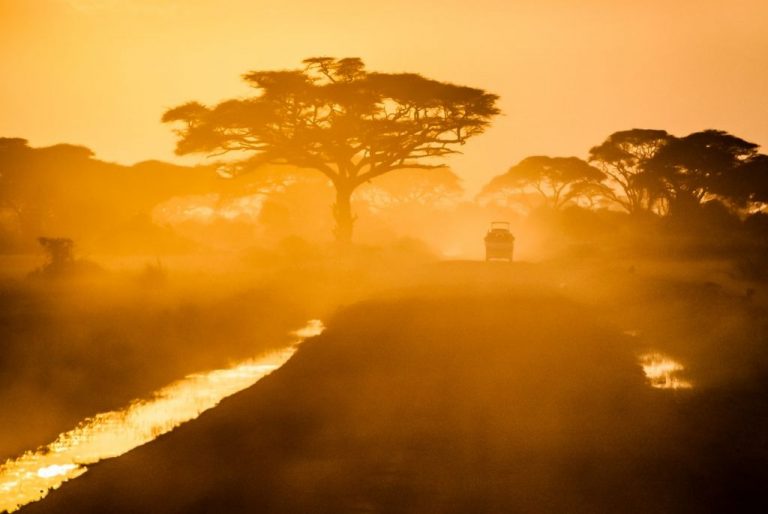 Amboseli national park, Kenya