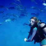 jackfish scuba diving turks and caicos