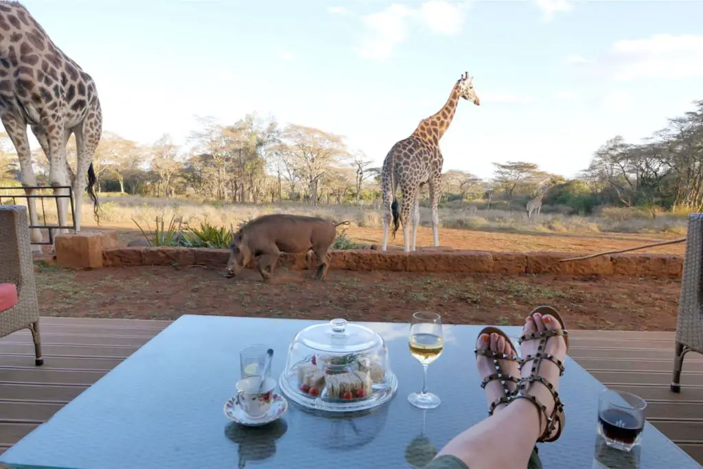 giraffe manor nairobi views
