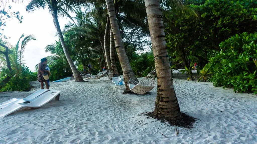 thoddoo beaches maldives