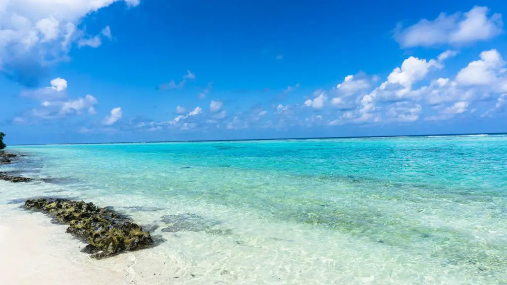 beach thoddoo maldives