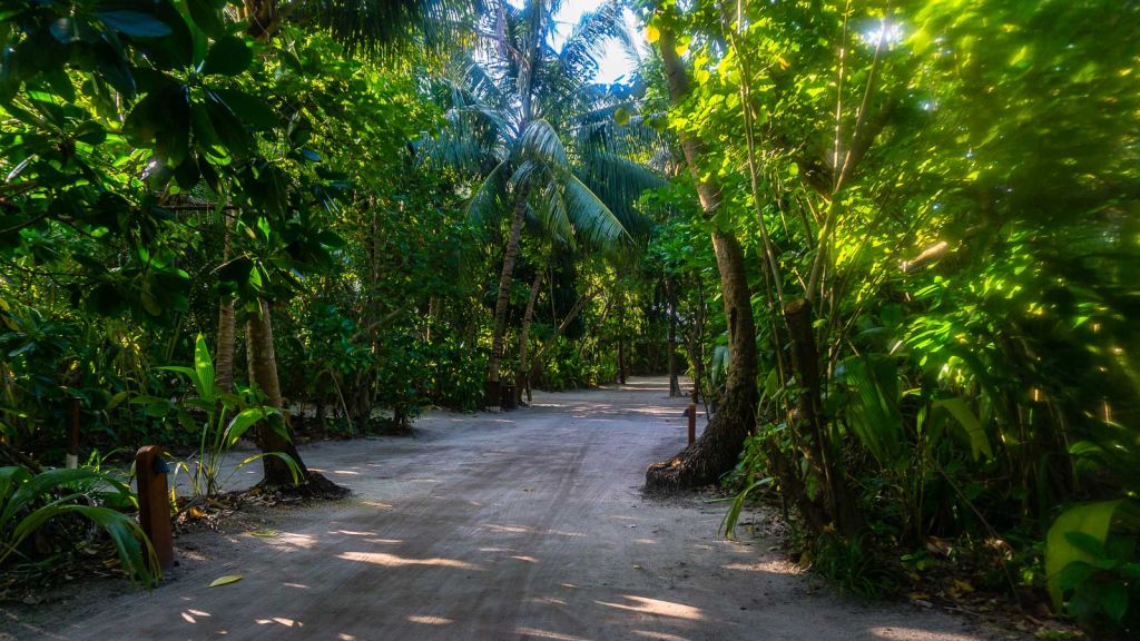 park hyatt hadahaa maldives