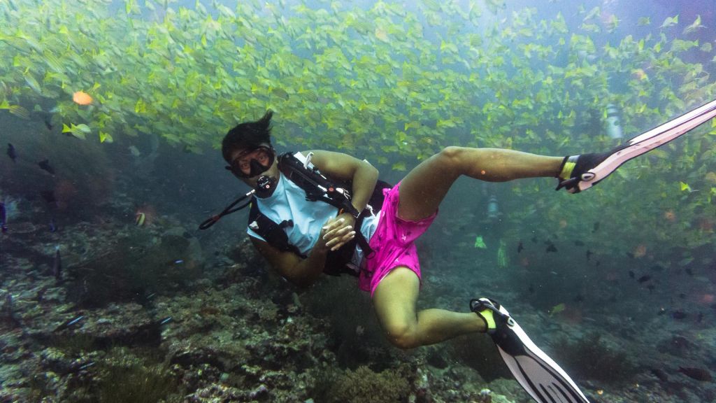 yellow snapper khudarah thila maldives scuba diving
