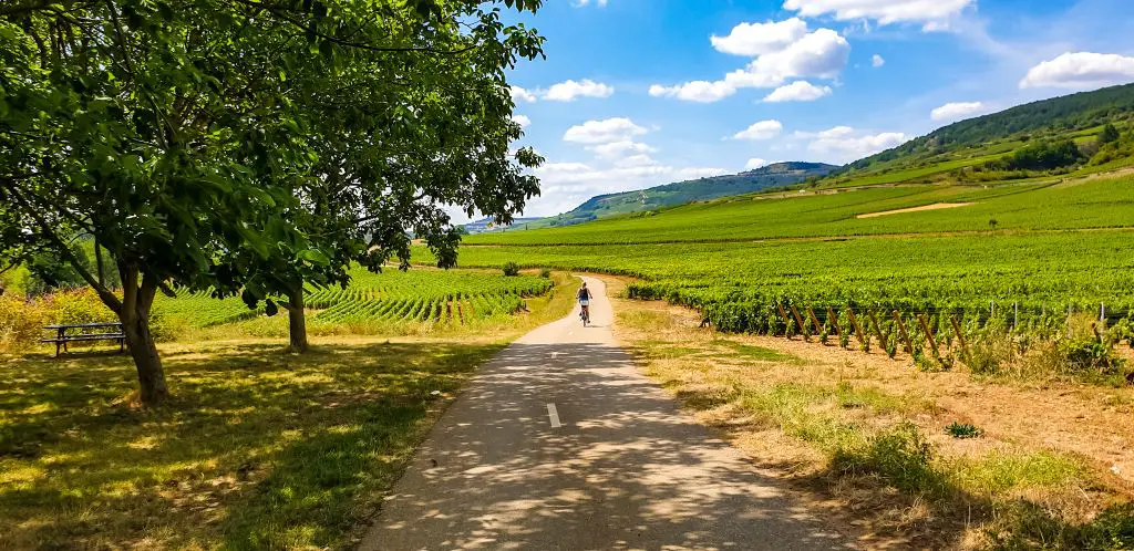 Beautiful Burgundy countryside France