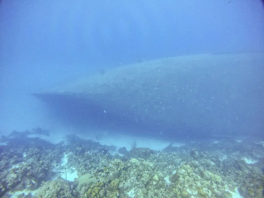 Hilma Hooker Bonaire diving
