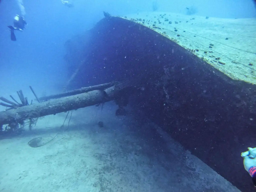 Hilma hooker Bonaire diving