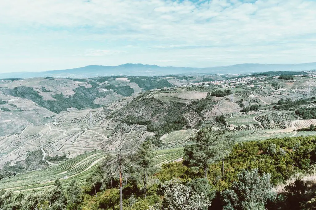 St. Leonardo de Galafura viewpoint douro Valley