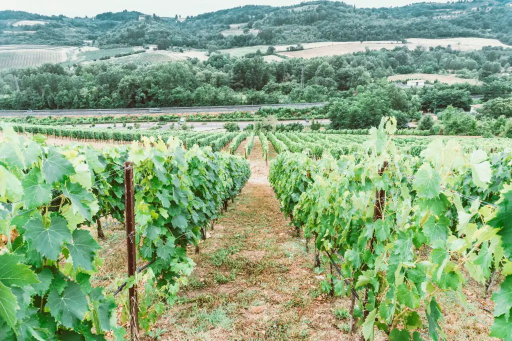 Antinori Winery Chiani Tuscany