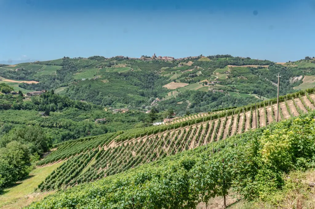 Piedmont wine region italy