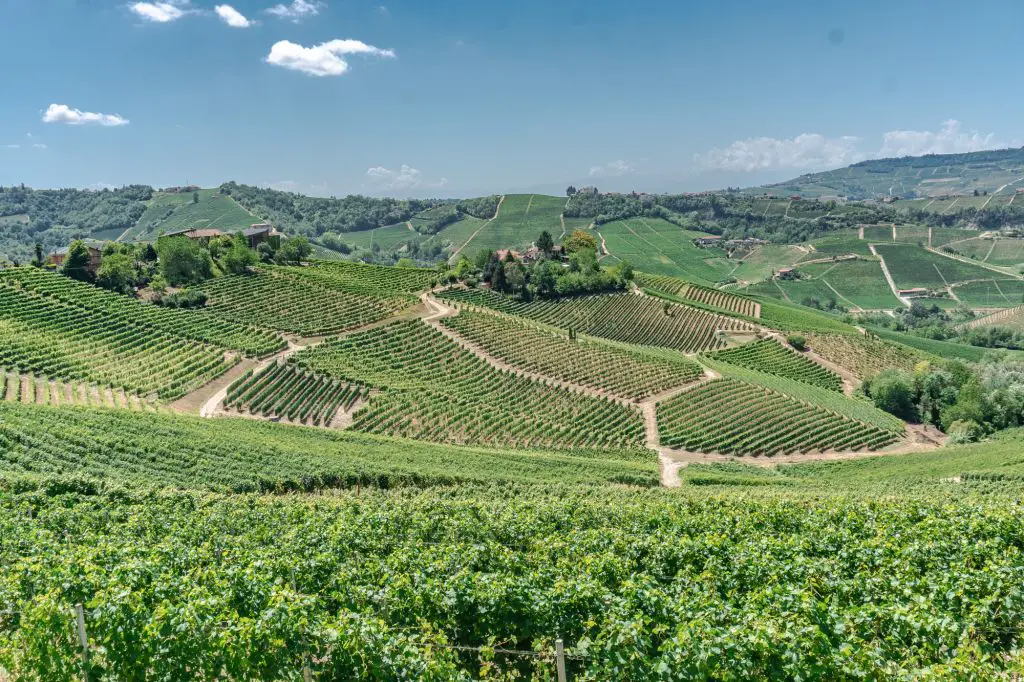 Piedmont wine region italy
