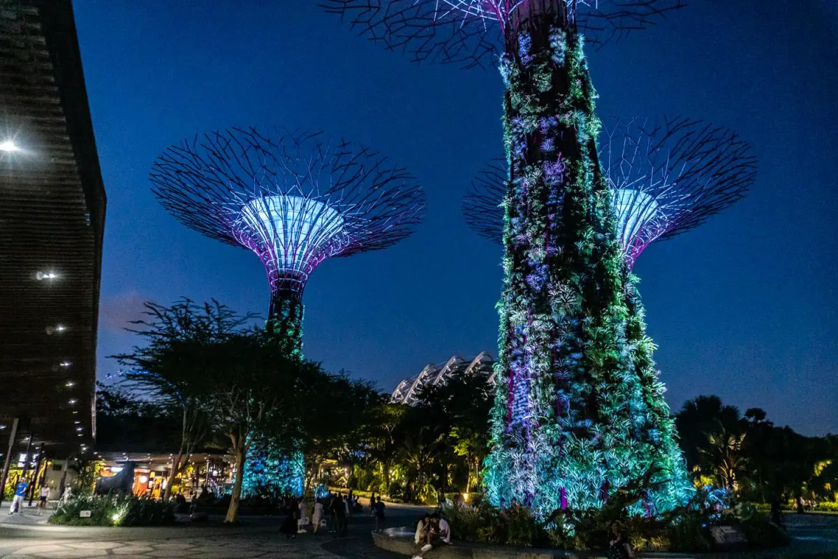 Supertree Forest Singapore Gardens by the Bay