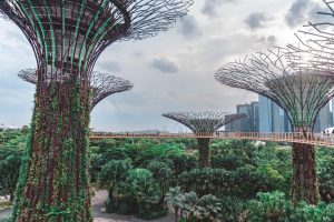 OCBC Skywalk Gardens by the Bay Singapore