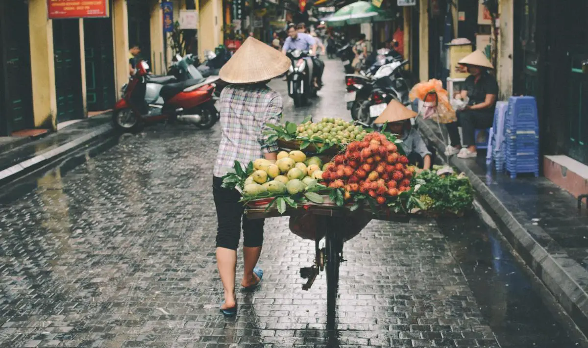 Hanoi street vendor selling fruit