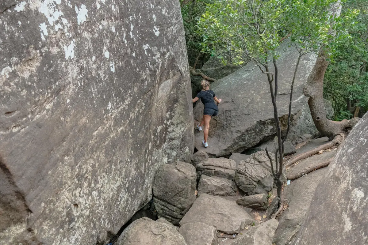 Sigiriya from Pidurangala Rock