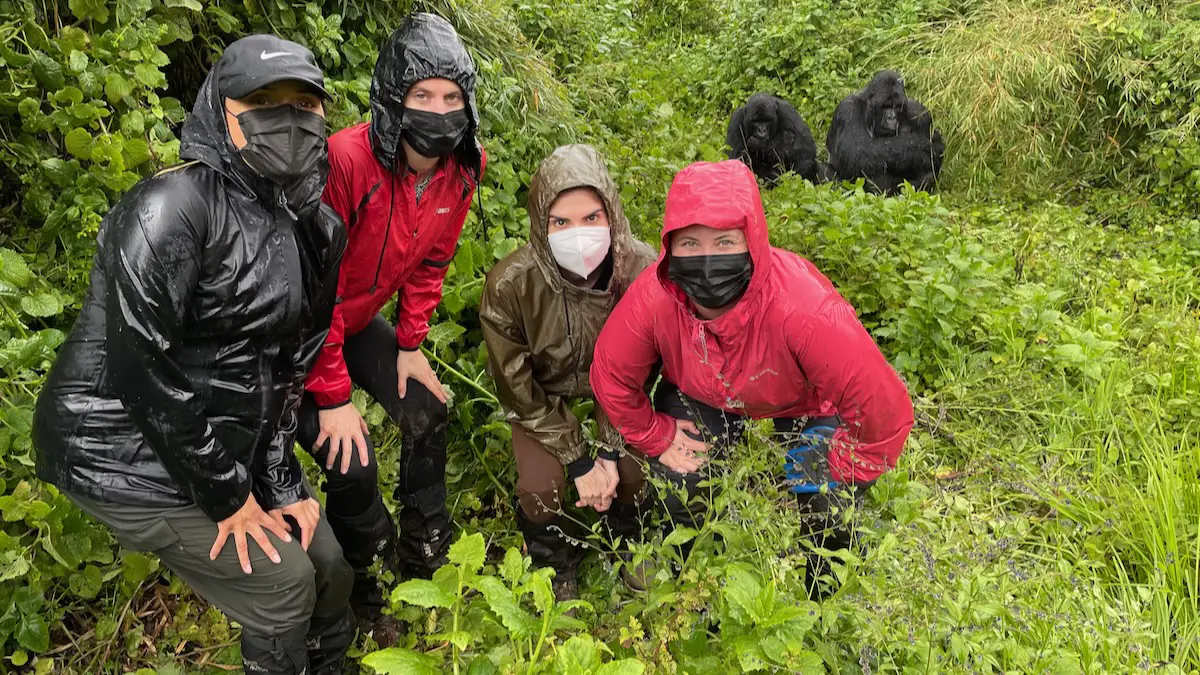 gorilla trekking rwanda